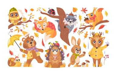 Cute autumn animal and bird characters with fallen leaves and dry yellow grass decoration set
