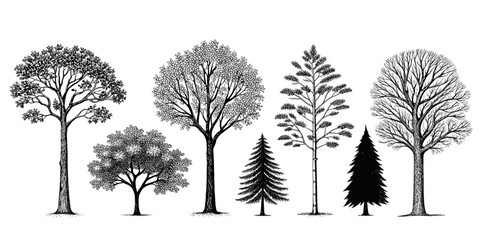 Various tree silhouettes in black and white illustration style  