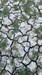 dry cracked ground, Cracks and fissures in the ground caused by drought. Lake Cuga. Uri, Sassari, Sardinia.