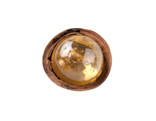 Golden amber resin sphere enclosed in rustic wood, showcasing natural beauty and rich texture