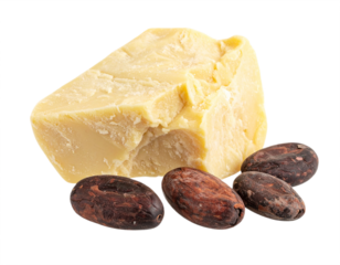 Pure cocoa butter block with natural cocoa beans for delicious chocolate or luxurious skincare products