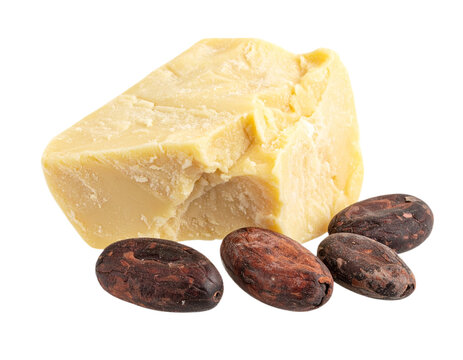Pure cocoa butter block with natural cocoa beans for delicious chocolate or luxurious skincare products