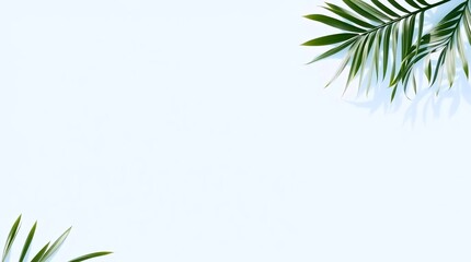 Fototapeta premium Clean white background with green tropical leaf in top corner