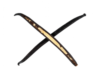 Exotic vanilla beans showcase rich aroma and culinary potential for gourmet creations