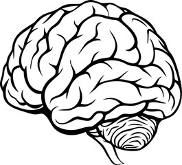 Intricate illustration of a human brain showcasing detailed anatomical structures in a monochrome design Generative AI