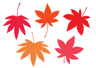 紅葉の葉っぱセット