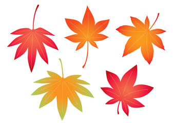 紅葉の葉っぱセット