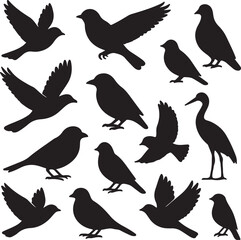 vector set of bird silhouettes   on white background