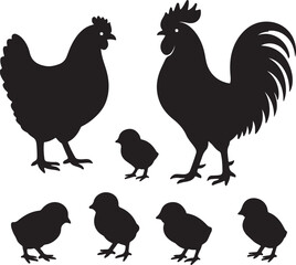 vector set of hen or chicken, rooster and chicks silhouettes   on white background