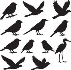 vector set of bird silhouettes   on white background