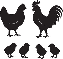 vector set of hen or chicken, rooster and chicks silhouettes   on white background