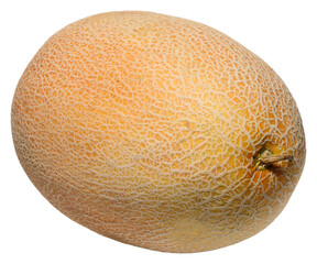 Whole ripe cantaloupe melon with characteristic netted rind, shot at a slight angle, isolated background