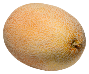 Whole ripe cantaloupe melon with characteristic netted rind, shot at a slight angle, isolated background