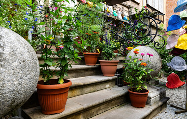 Flower pots and the old stone porch