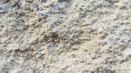 Close-up of sand texture — natural surface for construction, design, and ecological project