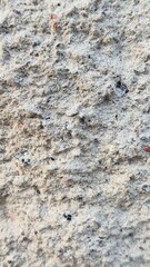  Close-up of sand texture — natural surface for construction, design, and ecological project