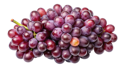 A large bunch of ripe juicy deep red grapes with a single lighter colored grape is isolated on transparent background