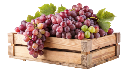 A large bunch of ripe juicy deep red grapes with a single lighter colored grape is isolated on transparent background