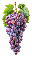 Fototapeta premium A generous cluster of ripe red grapes artfully arranged on a white plate isolated on transparent background
