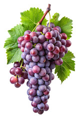 Fototapeta premium A plump bunch of ripe red grapes with vibrant green leaves showcasing natural beauty isolated on transparent background