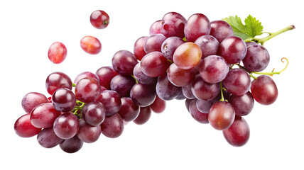 Fototapeta premium A cluster of ripe red grapes with a few berries falling off isolated on transparent background