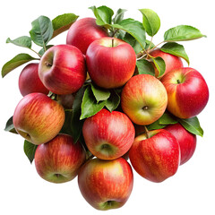 A vibrant bunch of freshly harvested red apples with green leaves isolated on transparent background