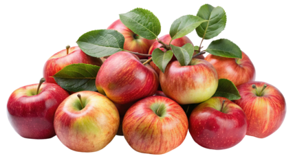 A bountiful pile of freshly picked ripe red and yellow apples with green leaves arranged artfully isolated on transparent background