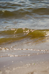 the waves