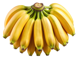 A large bunch of ripe yellow bananas with green tips showcasing their natural curved shape isolated on transparent background
