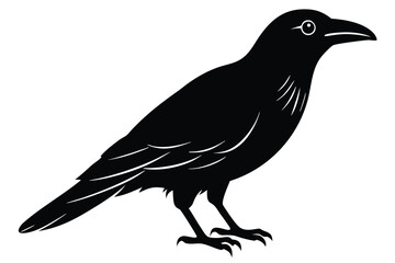 raven or crow vector icon illustration