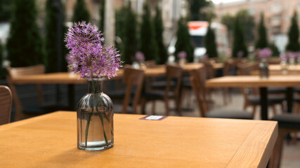 Purple Bloom on a Cafe Table