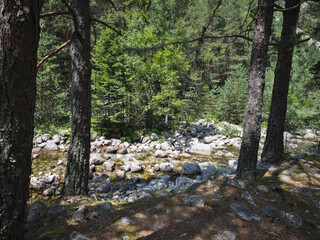 Rila Mountain near Beli Iskar River, Bulgaria