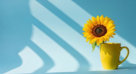 Obraz premium Bright sunflower in a yellow mug with striped shadows