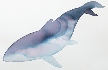 Colorful ink illustration of a whale showcasing graceful movement in the ocean
