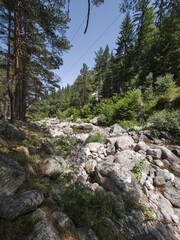 Obraz premium Rila Mountain near Beli Iskar River, Bulgaria