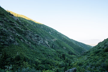 Fototapeta premium Summer Hiking Views of Farmington Canyon Utah Waterfalls and Flowers 