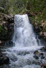 Summer Hiking Views of Farmington Canyon Utah Waterfalls and Flowers 