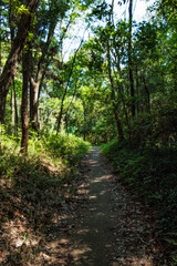 暑さを凌ぐ避暑地の遊歩道