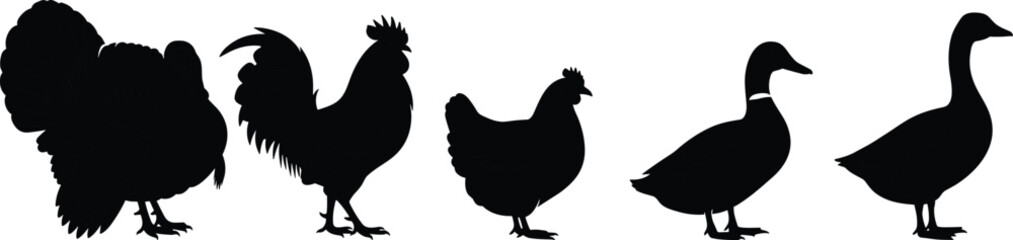 Farm and Water Bird Silhouette Vector Set – Turkey, Rooster, Hen, Duck, and Goose Icons for Agricultural or Nature Design