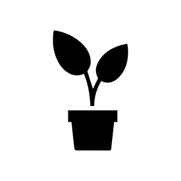 plant pot glyph icon