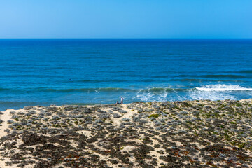 Praia do Norte in Nazaré, Portugal, featuring a wide sandy beach with powerful Atlantic waves and a rugged coastline under clear skies.
