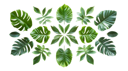 Stunning tropical leaf arrangement provides a lush botanical accent for your design