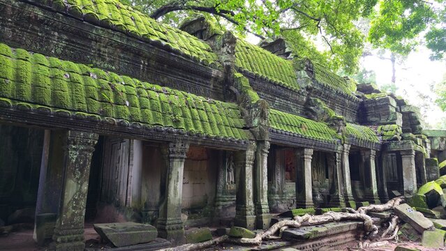 Ta Prohm, Cambodia - 3 July 2025. Ancient mossy temple structure with stone pillars and large tree roots spreading across the ruins.