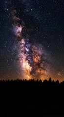  Starry sky over silhouetted forest trees, Milky Way visible