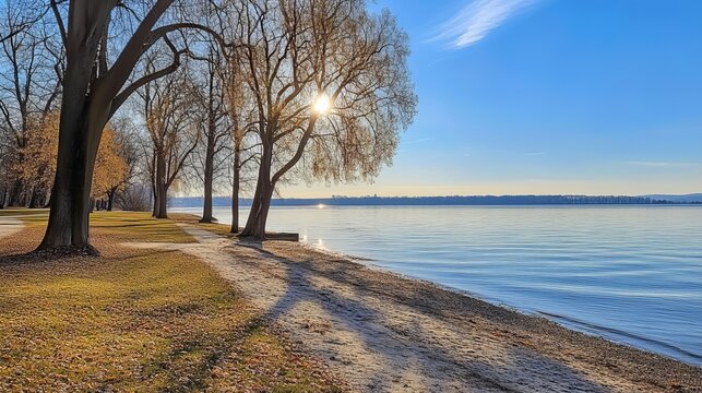 Sunny winter day by a tranquil lake, with trees lining a path - Powered by Adobe
