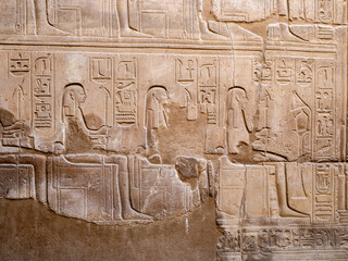 Jeroglíficos egipcios tallados en piedra con figuras de animales y símbolos sagrados