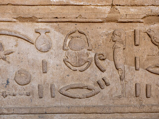 Jeroglíficos egipcios tallados en piedra con figuras de animales y símbolos sagrados