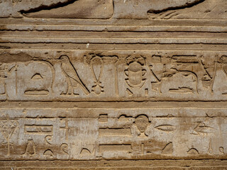 Jeroglíficos egipcios tallados en piedra con figuras de animales y símbolos sagrados