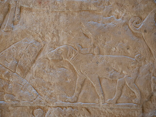 Jeroglíficos egipcios tallados en piedra con figuras de animales y símbolos sagrados