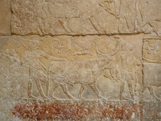 Jeroglíficos egipcios tallados en piedra con figuras de animales y símbolos sagrados